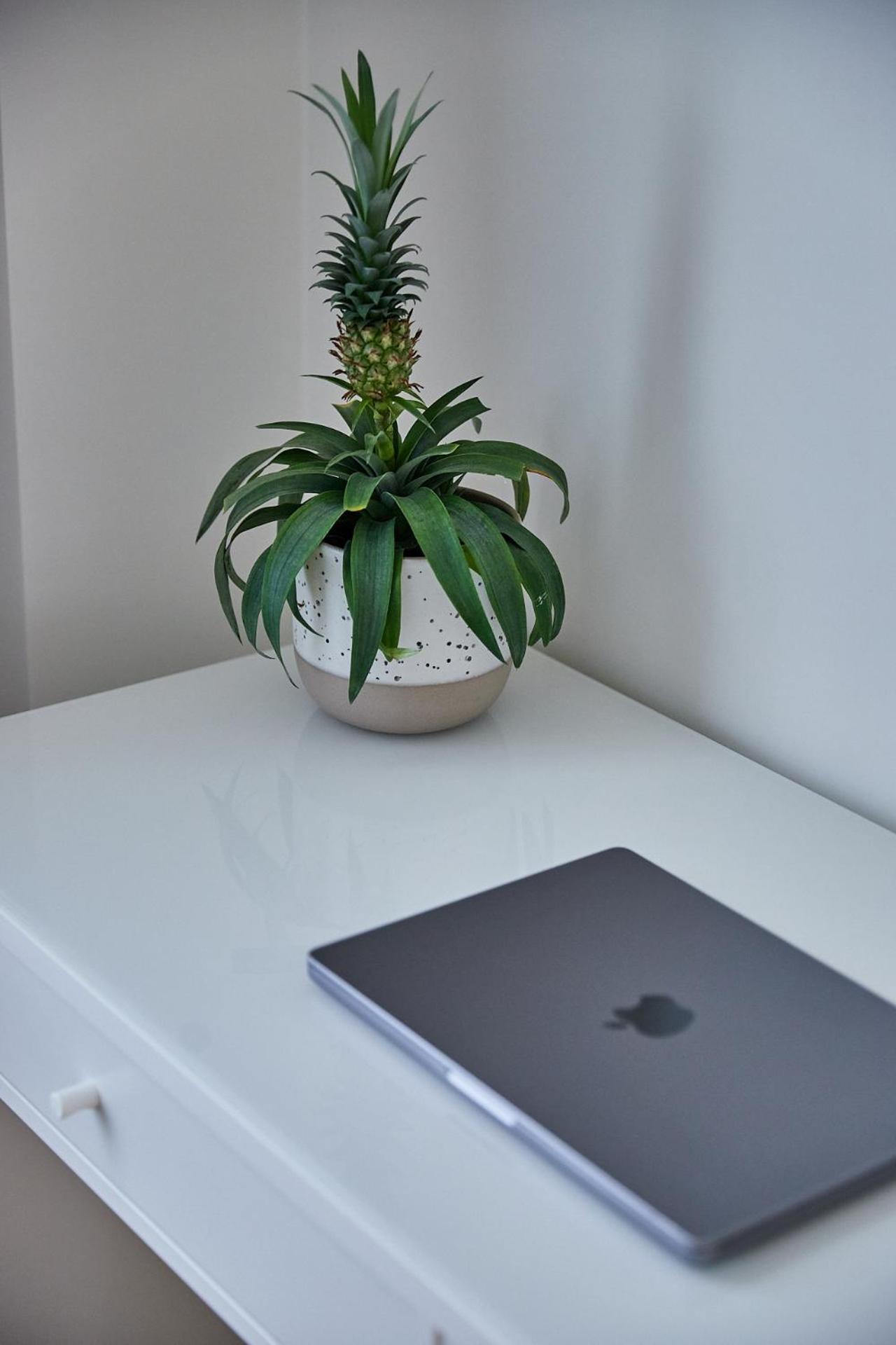 Urban Chic Apartment In The Heart Of Mechelen Kültér fotó